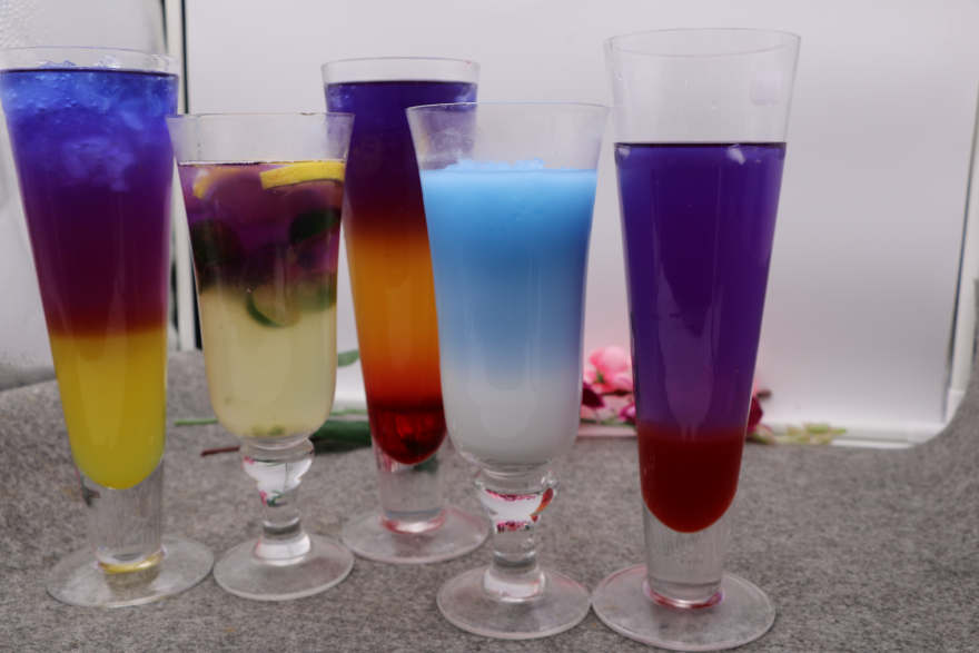成都泰国蝶豆花培训